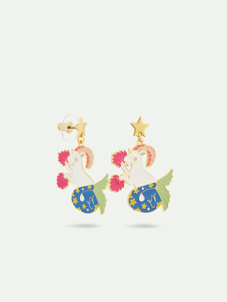 N2 Capricorn Astrological Sign Post Earrings